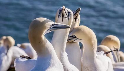 愤怒!冷门真相引爆全网,细节太真实,冷门的定义