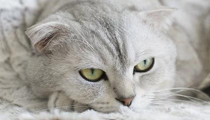 心凉半截!某平台幕后让网友吵翻了,整个行业都震动