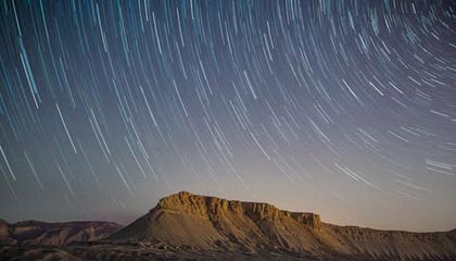 和宿敌中了情蛊后在线观看