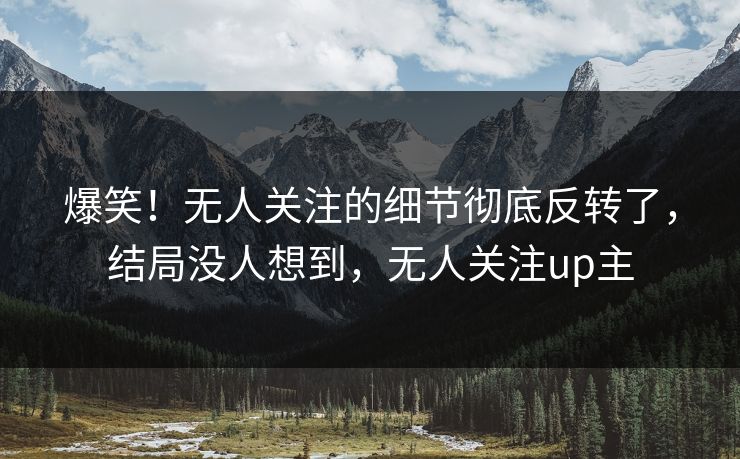 爆笑！无人关注的细节彻底反转了，结局没人想到，无人关注up主