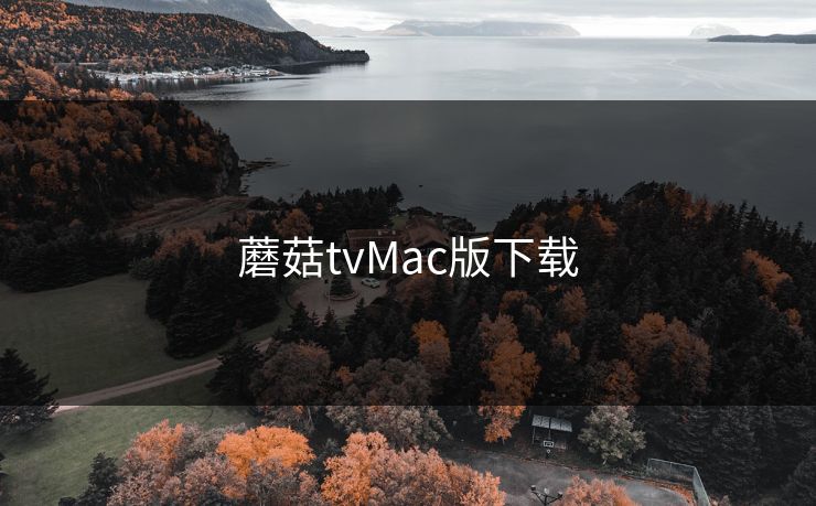 蘑菇tvMac版下载