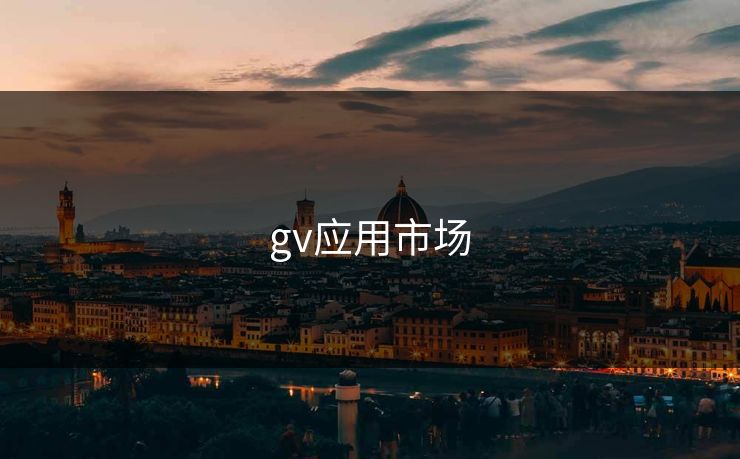gv应用市场