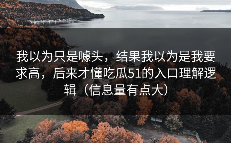 我以为只是噱头，结果我以为是我要求高，后来才懂吃瓜51的入口理解逻辑（信息量有点大）