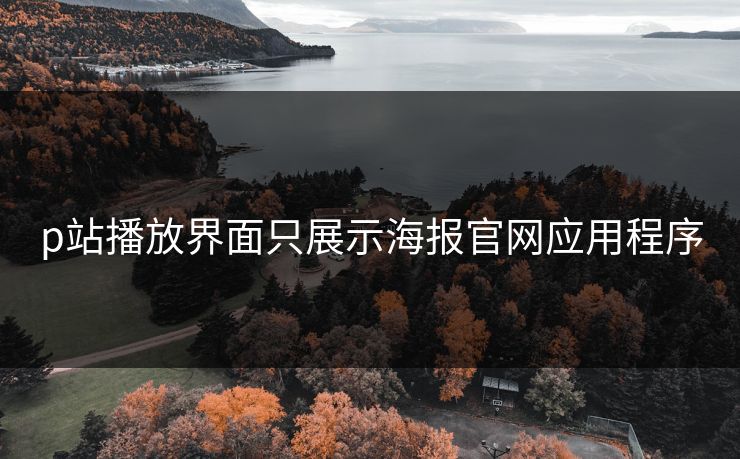 p站播放界面只展示海报官网应用程序