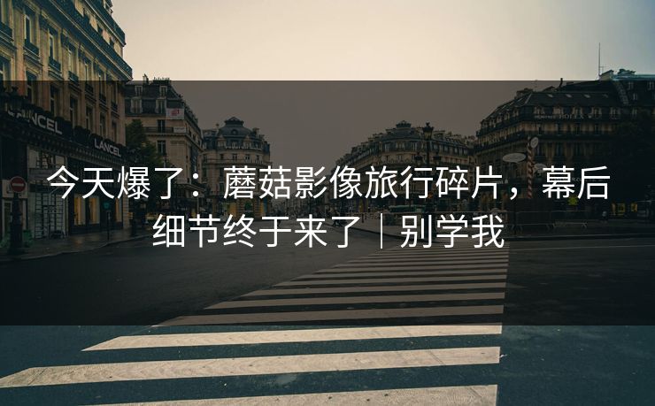 今天爆了：蘑菇影像旅行碎片，幕后细节终于来了｜别学我