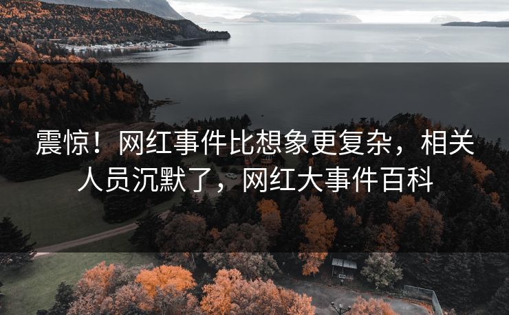 震惊！网红事件比想象更复杂，相关人员沉默了，网红大事件百科